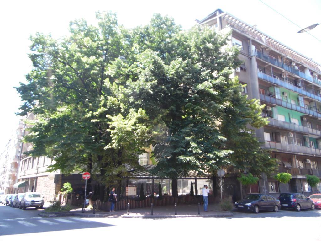 Apartment Vracar Belgrado Exterior foto